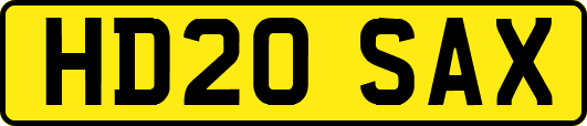 HD20SAX