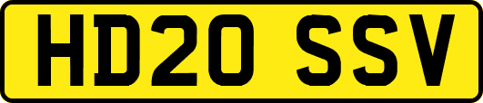 HD20SSV