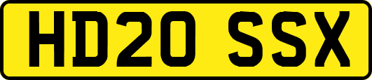 HD20SSX