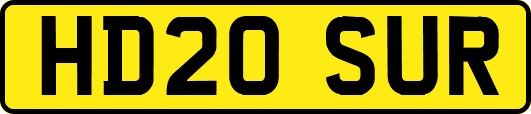 HD20SUR