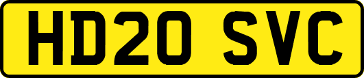 HD20SVC