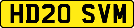 HD20SVM