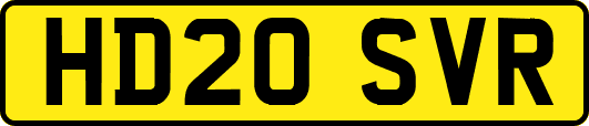 HD20SVR