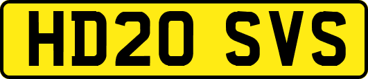 HD20SVS