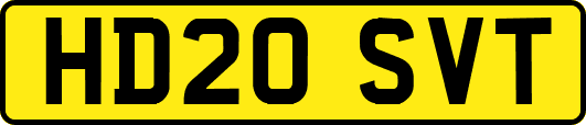 HD20SVT