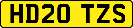 HD20TZS