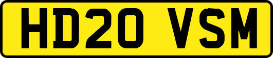 HD20VSM