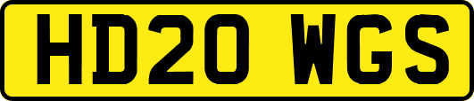 HD20WGS