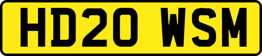 HD20WSM