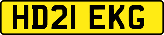 HD21EKG