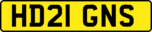 HD21GNS