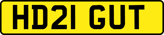 HD21GUT