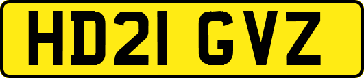 HD21GVZ