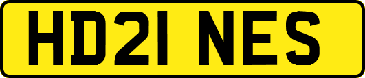 HD21NES