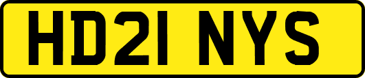 HD21NYS