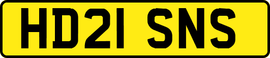 HD21SNS
