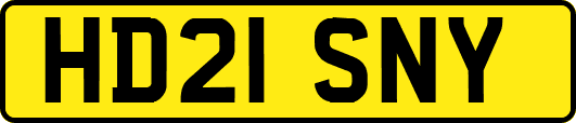 HD21SNY