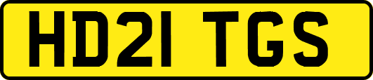 HD21TGS