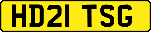 HD21TSG