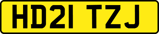 HD21TZJ