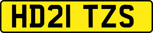 HD21TZS