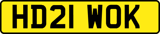 HD21WOK