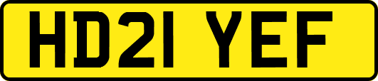 HD21YEF