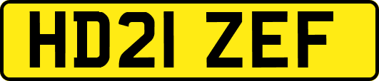 HD21ZEF