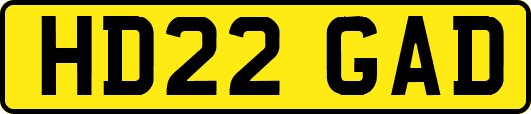 HD22GAD