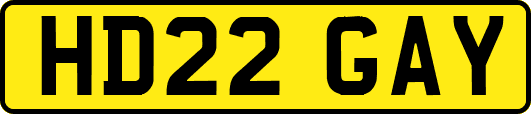 HD22GAY