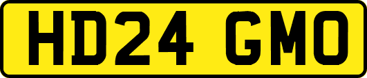 HD24GMO
