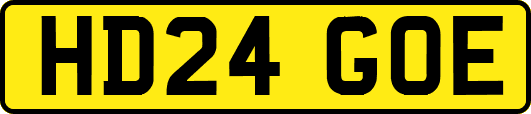 HD24GOE