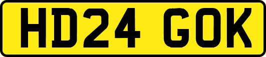 HD24GOK