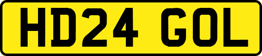 HD24GOL