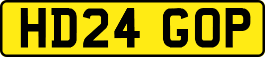 HD24GOP