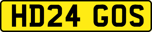 HD24GOS
