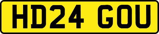 HD24GOU