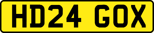 HD24GOX