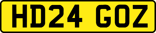 HD24GOZ