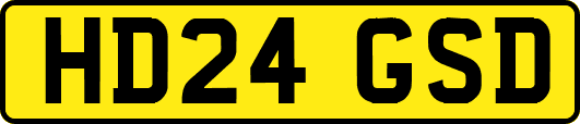HD24GSD