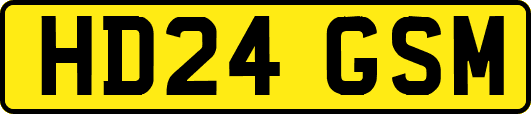 HD24GSM