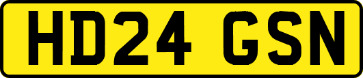 HD24GSN