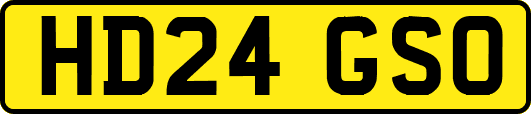 HD24GSO