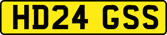 HD24GSS