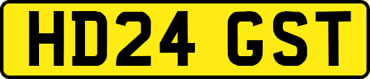 HD24GST