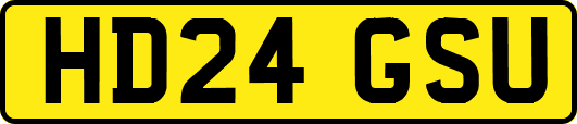 HD24GSU