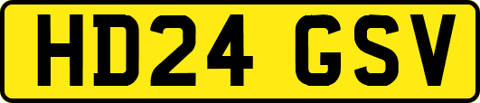 HD24GSV