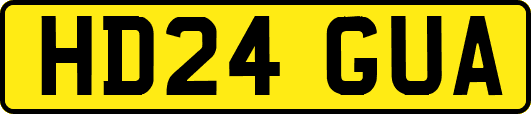 HD24GUA
