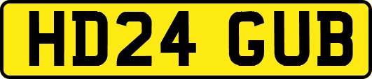 HD24GUB