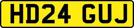 HD24GUJ